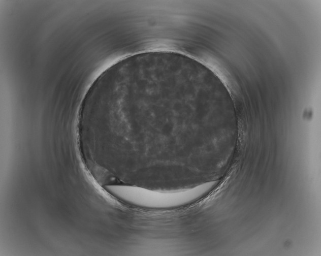 X0000097591142200803141849