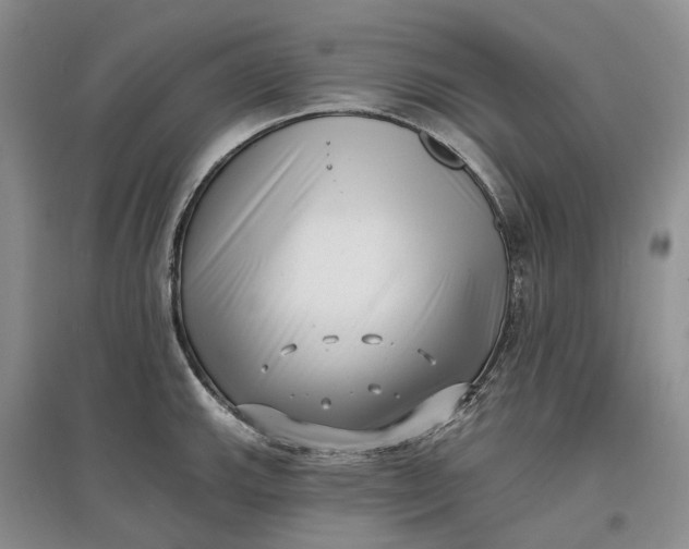 X0000097591143200803141849