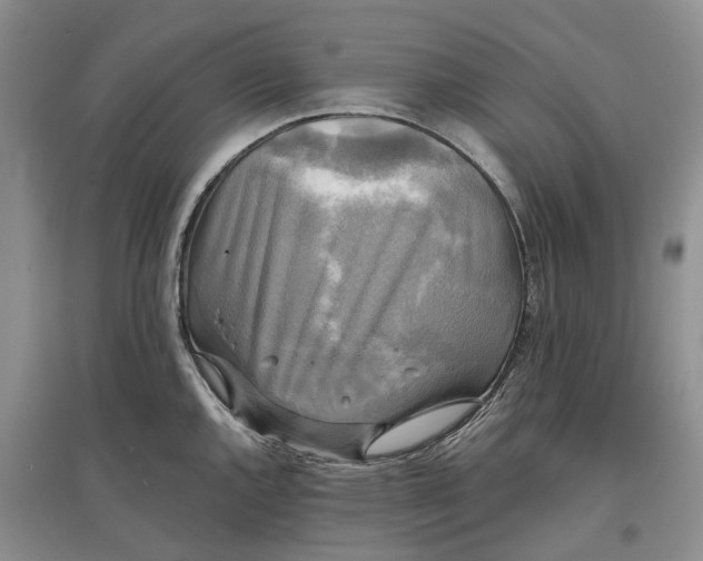 X0000097591144200803141849