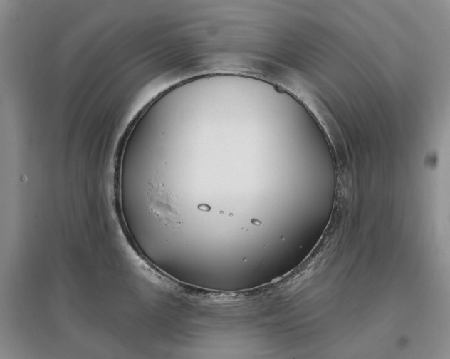 X0000097591147200803141849