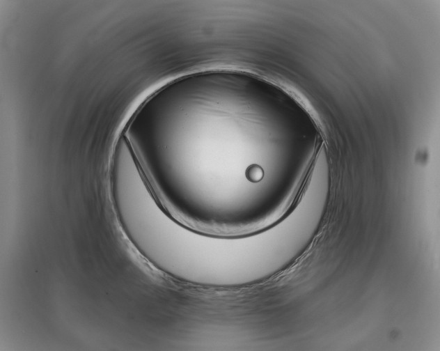 X0000097591148200803141849