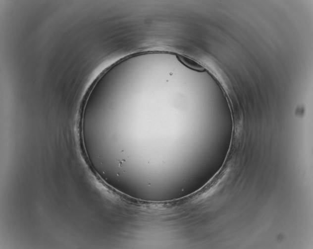 X0000097591149200803141849