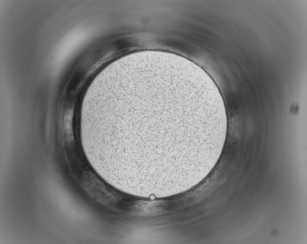 X0000097591150200803141849