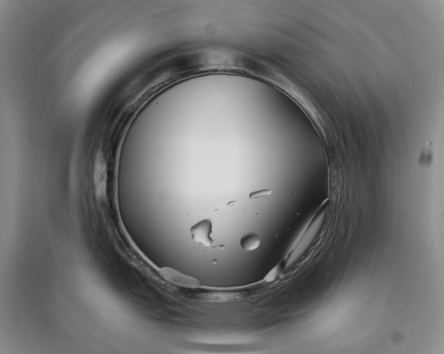 X0000097591151200803141849