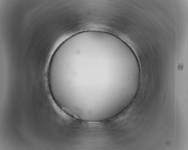 X0000097591152200803141849