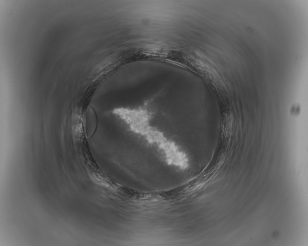 X0000097591154200803141848