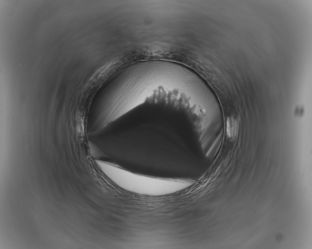 X0000097591155200803141848