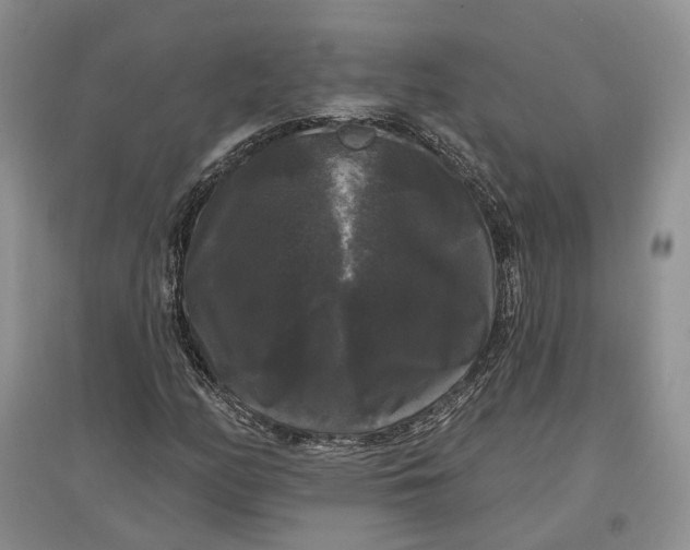 X0000097591158200803141848