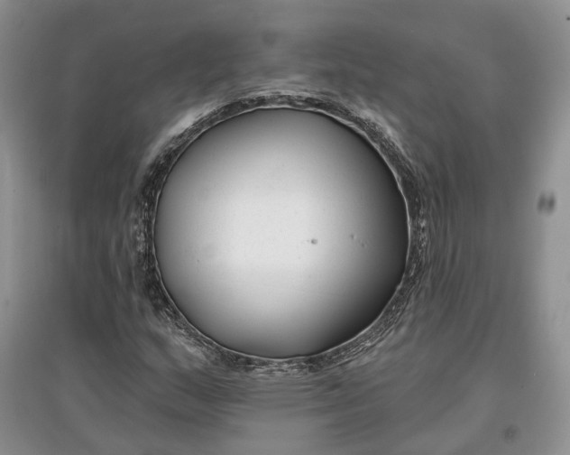 X0000097591159200803141848