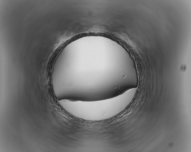 X0000097591160200803141848