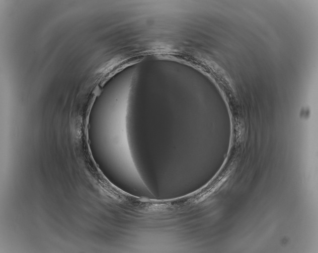 X0000097591161200803141848