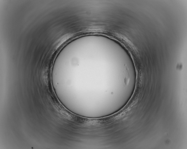 X0000097591162200803141848