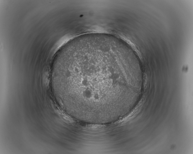 X0000097591163200803141848