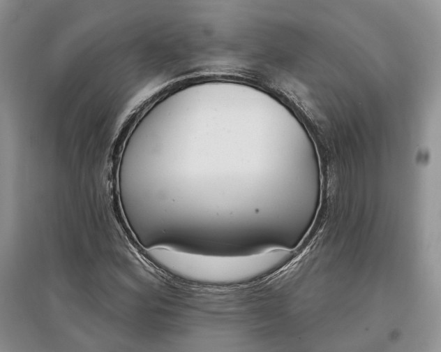 X0000097591164200803141848