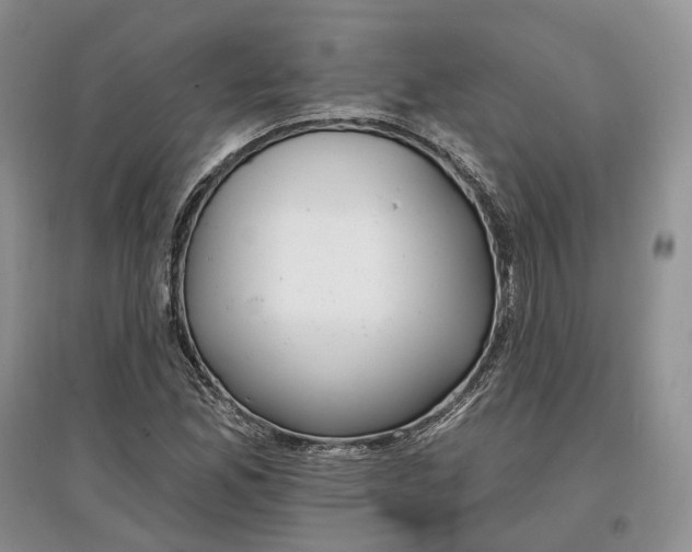 X0000097591165200803141848