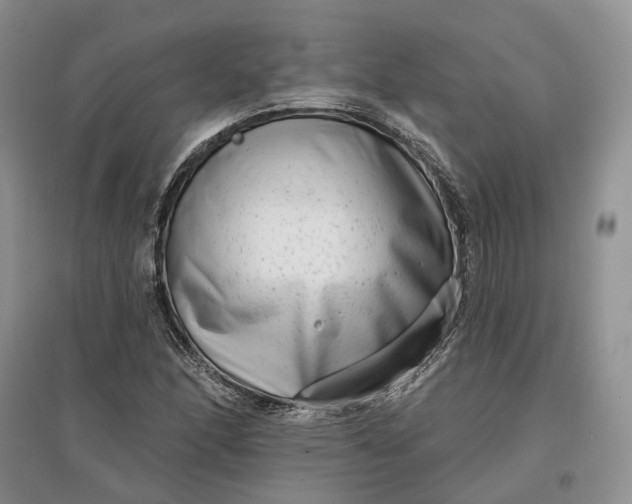 X0000097591166200803141848