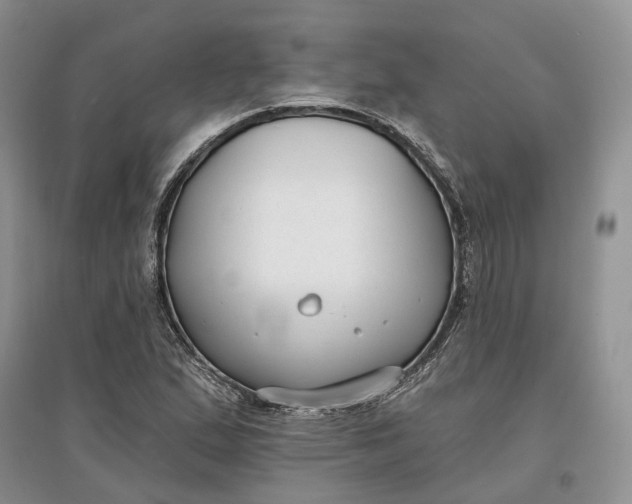 X0000097591167200803141848