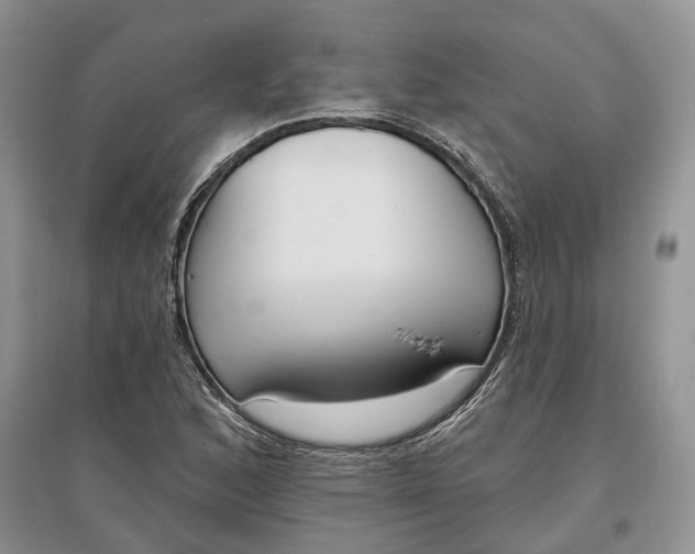 X0000097591168200803141848