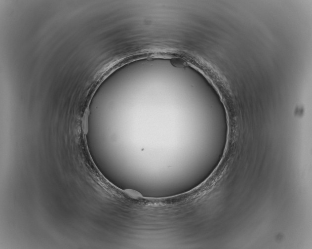 X0000097591169200803141848