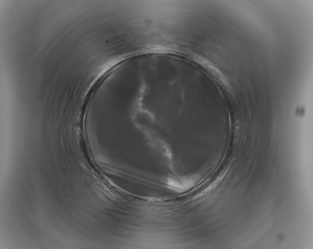 X0000097591170200803141848