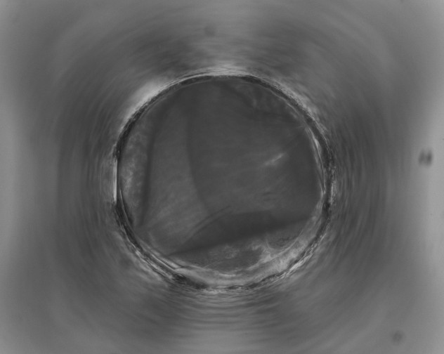 X0000097591171200803141848