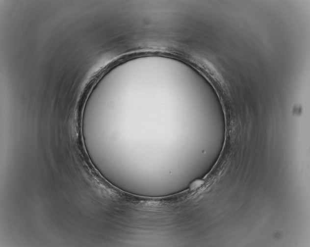 X0000097591172200803141848