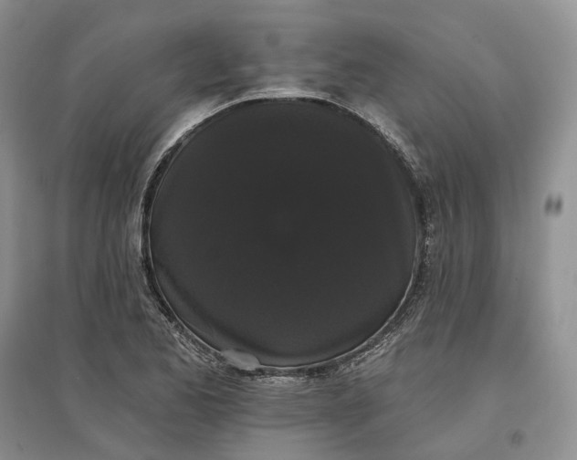 X0000097591173200803141848