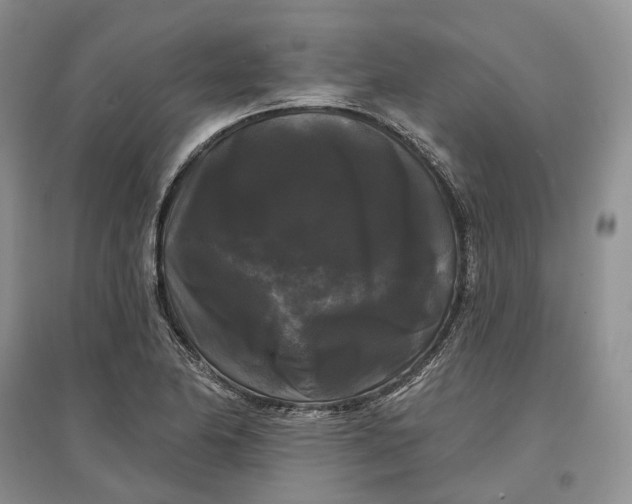 X0000097591174200803141848