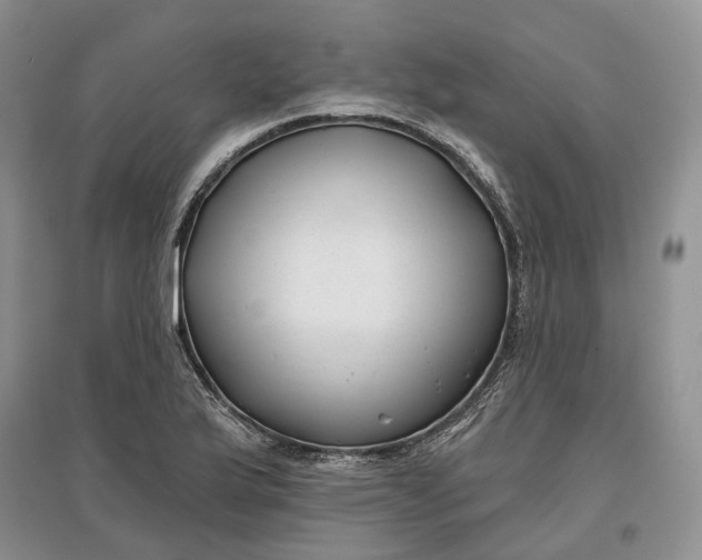 X0000097591175200803141848