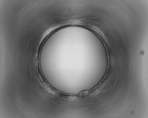 X0000097591176200803141848