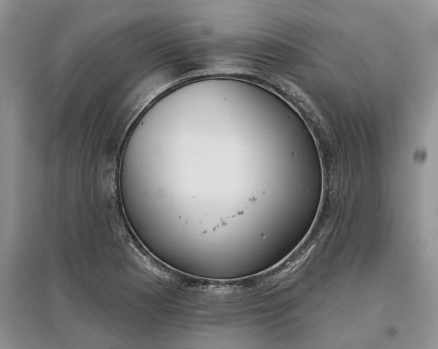 X0000097591177200803141848