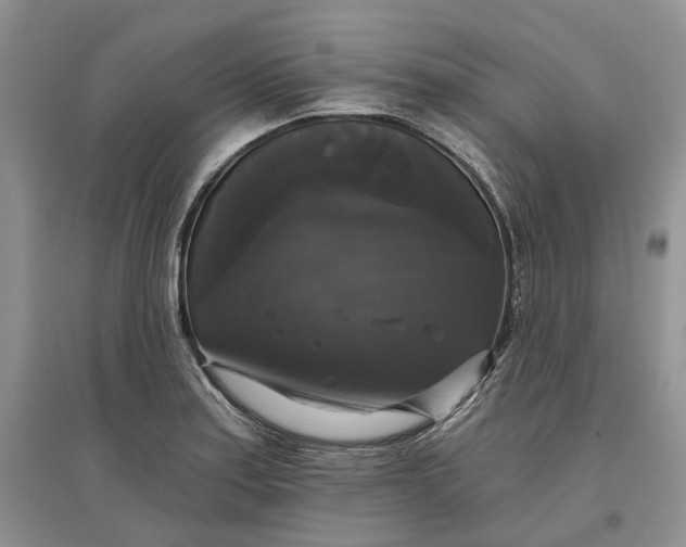 X0000097591179200803141848