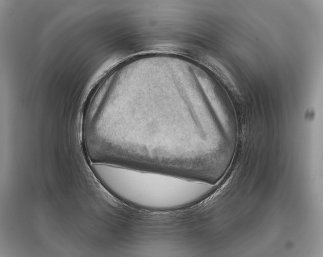 X0000097591180200803141848