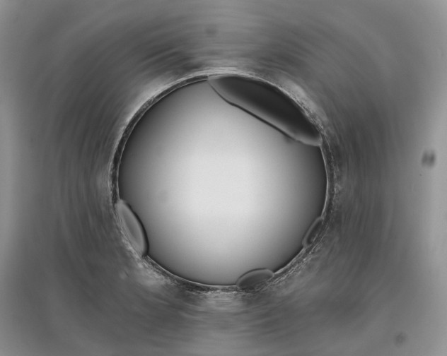 X0000097591181200803141848