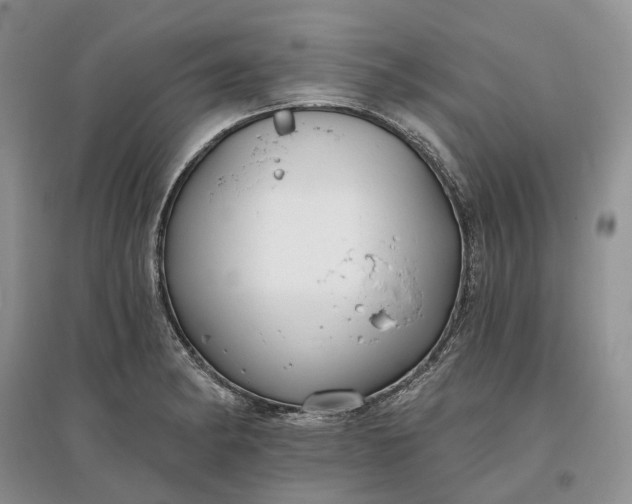 X0000097591182200803141848