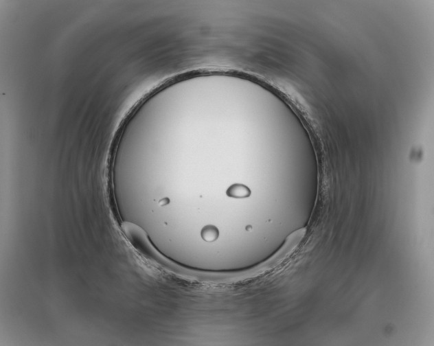 X0000097591183200803141848