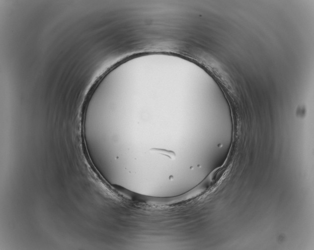 X0000097591184200803141848