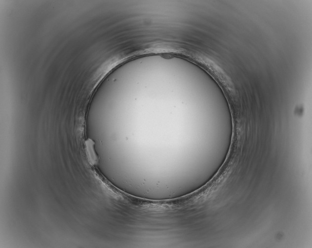 X0000097591185200803141848