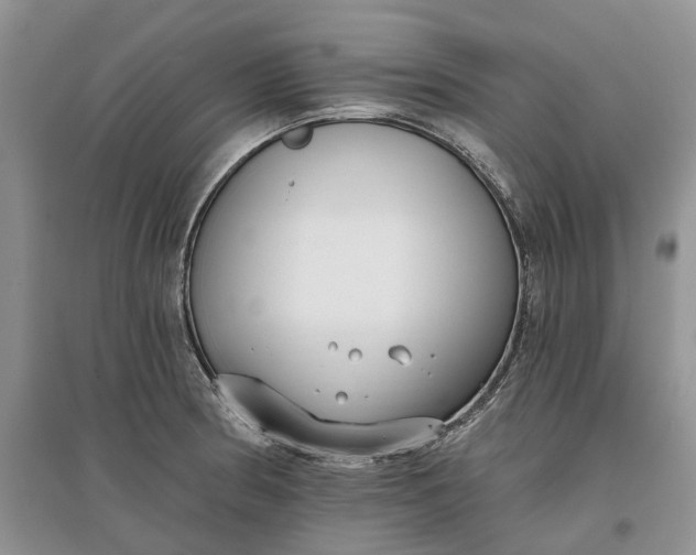 X0000097591186200803141848