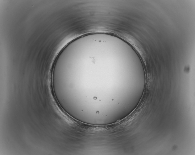 X0000097591187200803141848