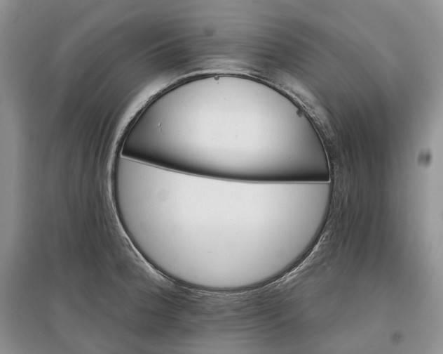 X0000097591188200803141848