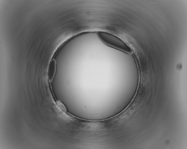 X0000097591189200803141848