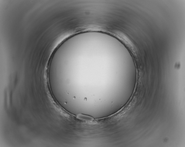 X0000097591190200803141848