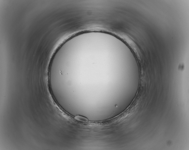 X0000097591191200803141848