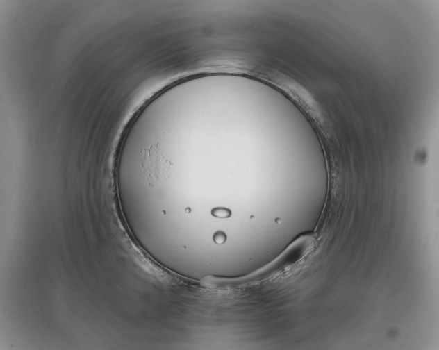 X0000097591192200803141848