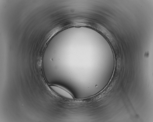 X0000097591193200803141848