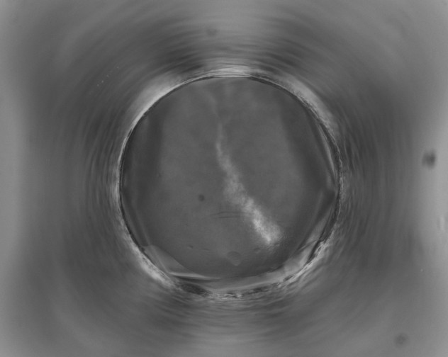 X0000097591194200803141848