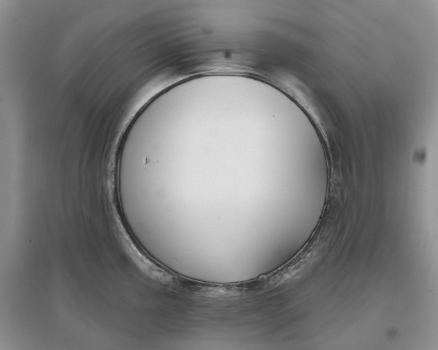 X0000097591195200803141848