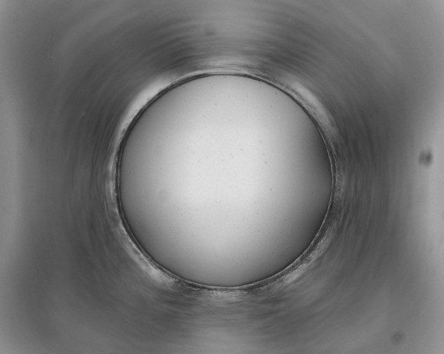 X0000097591196200803141848