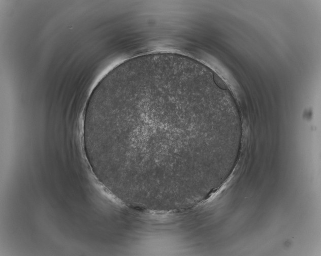 X0000097591198200803141848